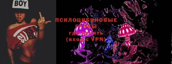 гидра Лабытнанги