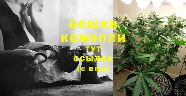 мескалин Ладушкин