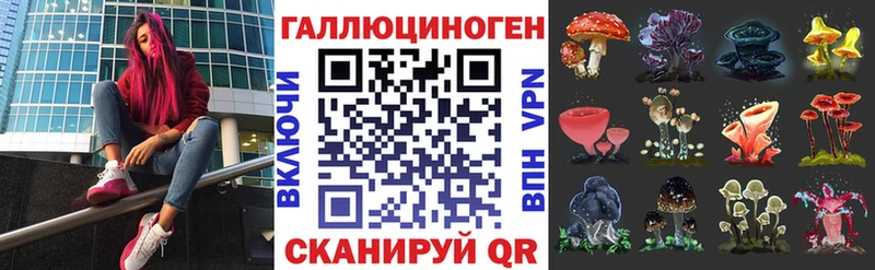 продажа наркотиков  hydra как войти  Псилоцибиновые грибы Cubensis  Нюрба 